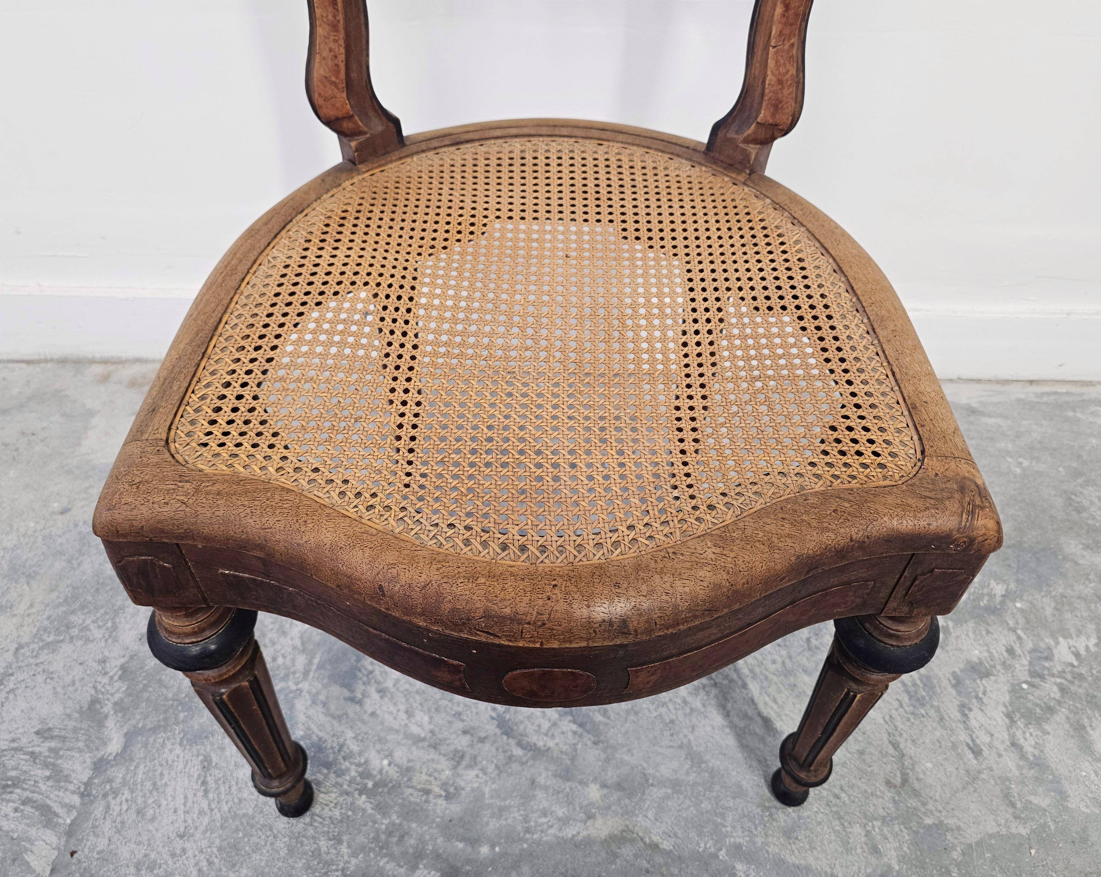 Set of 6 antique dining chairs in solid walnut, cane seats, 19th century.