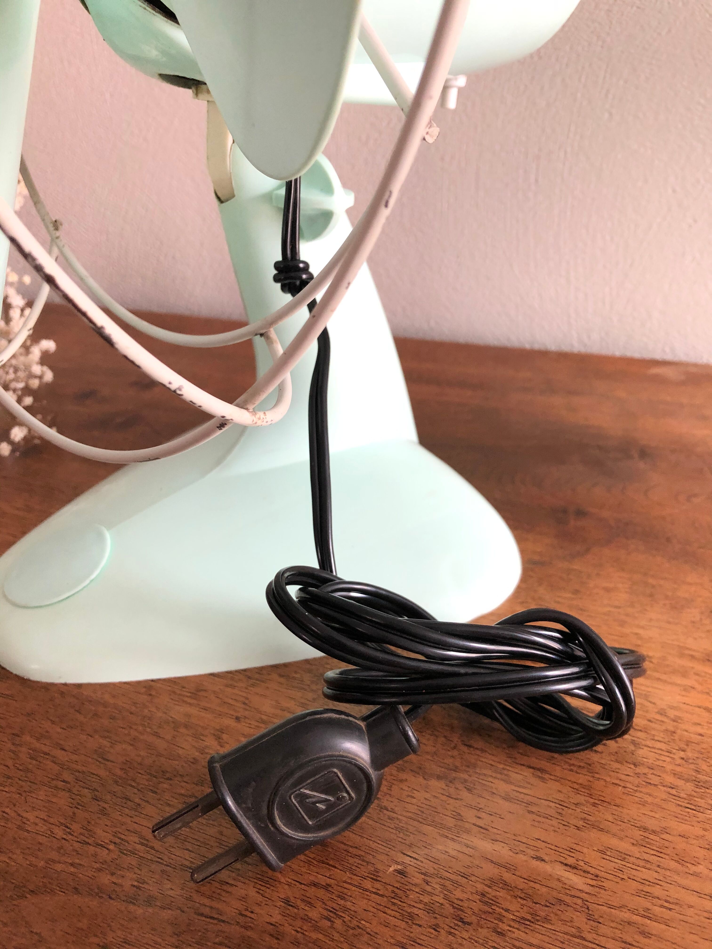 Calor Minth Vintage Fan