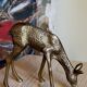 Solid brass doe