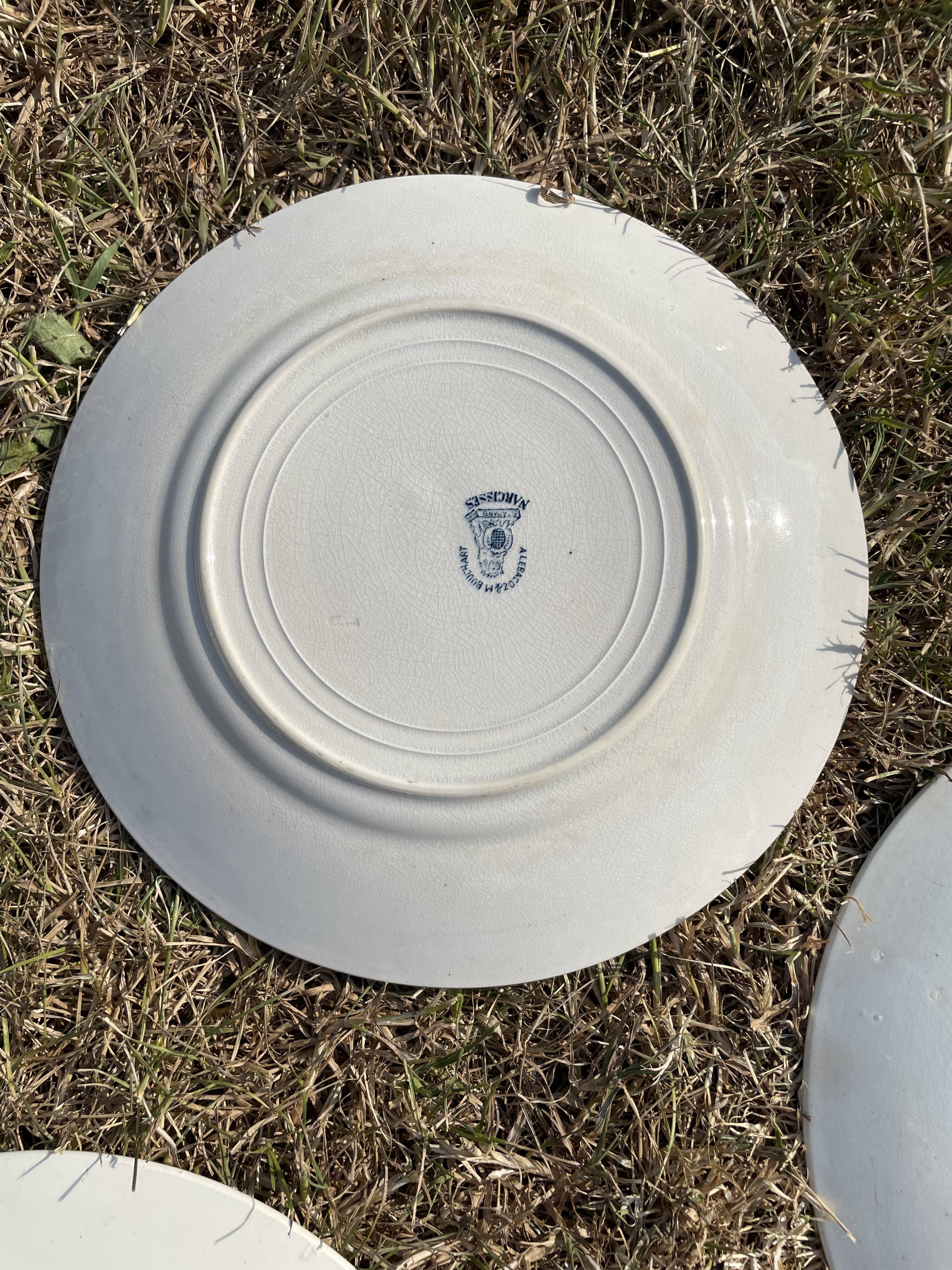 Set of 8 mismatched iron earth flat plates