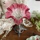 Cornet vase, antique tulip vase.