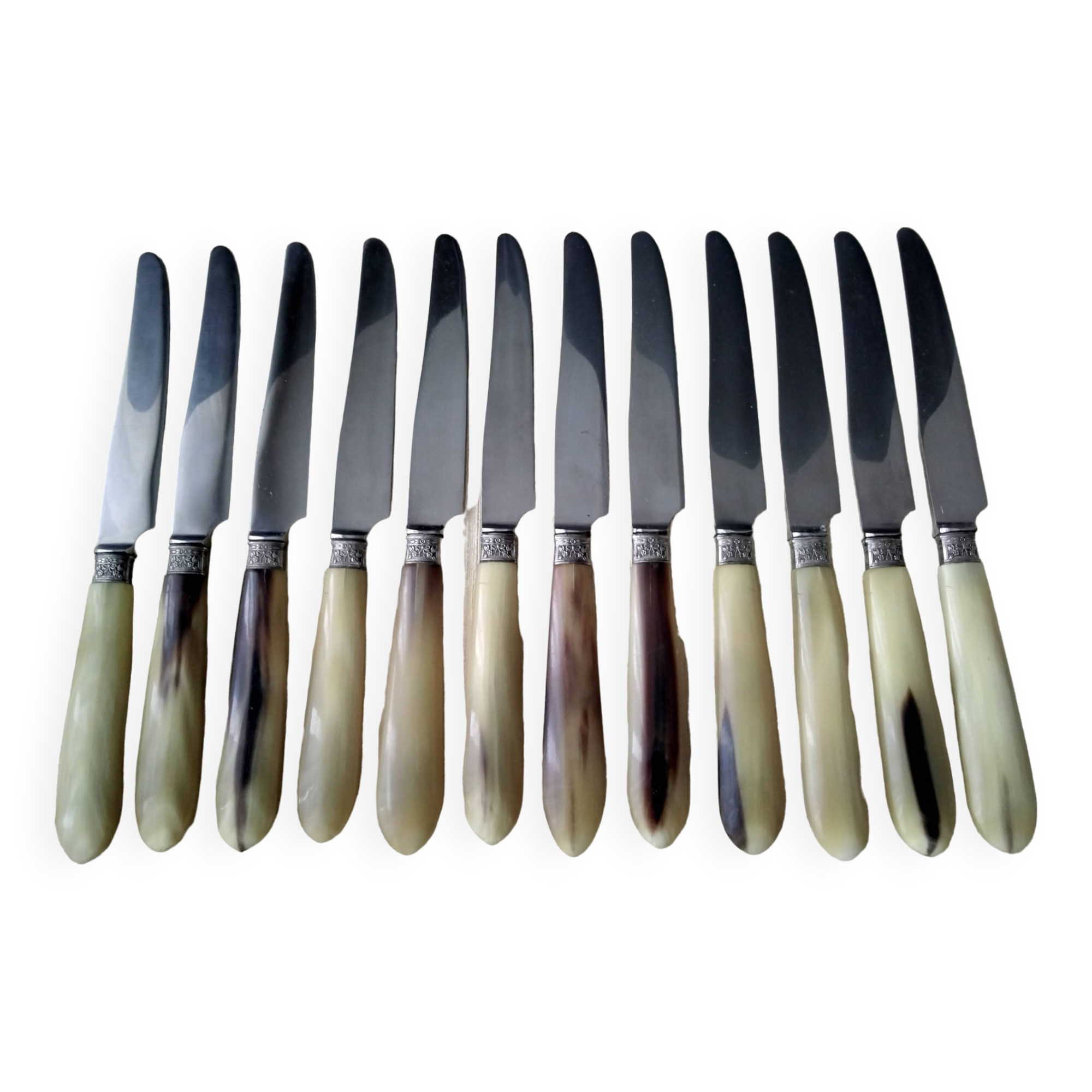 12 Apollo cheese knives Stainless steel and bovine horn