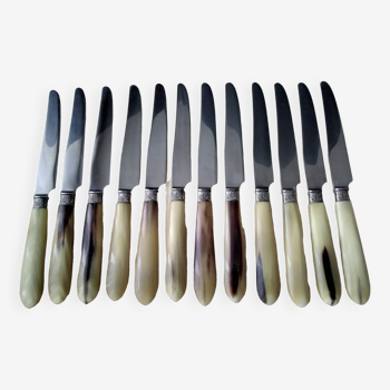 12 Apollo cheese knives Stainless steel and bovine horn