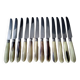 12 Apollo cheese knives Stainless steel and bovine horn