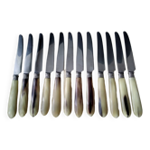 12 Apollo cheese knives Stainless steel and bovine horn