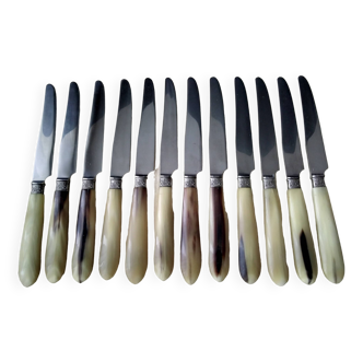 12 Apollo cheese knives Stainless steel and bovine horn