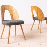 Ensemble de 4 chaises de salle à manger modernes du milieu du siècle par A. Šuman, rembourrées