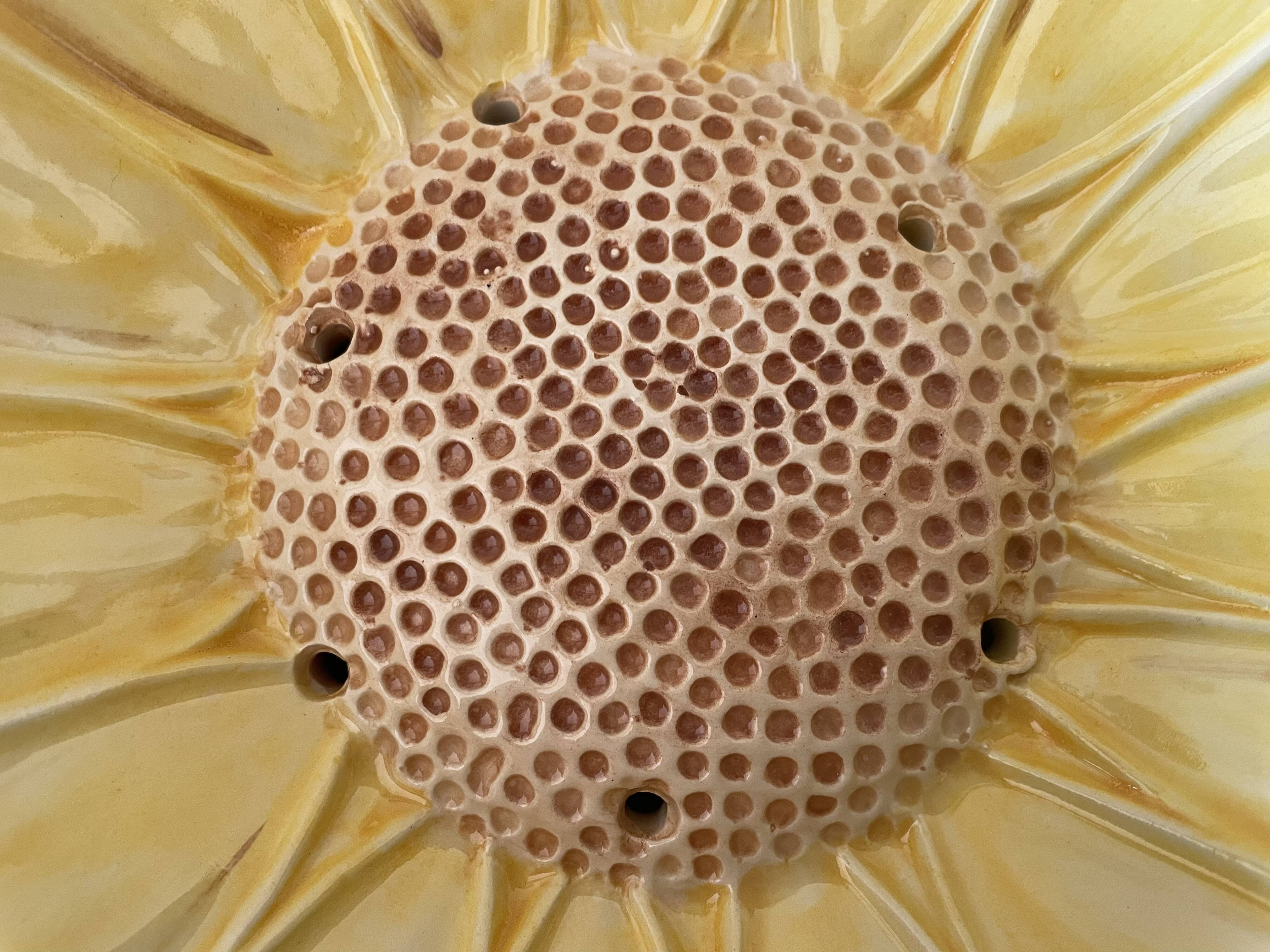 Sunflower slip dish drainer