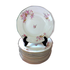 Suite de 12 assiettes à potage