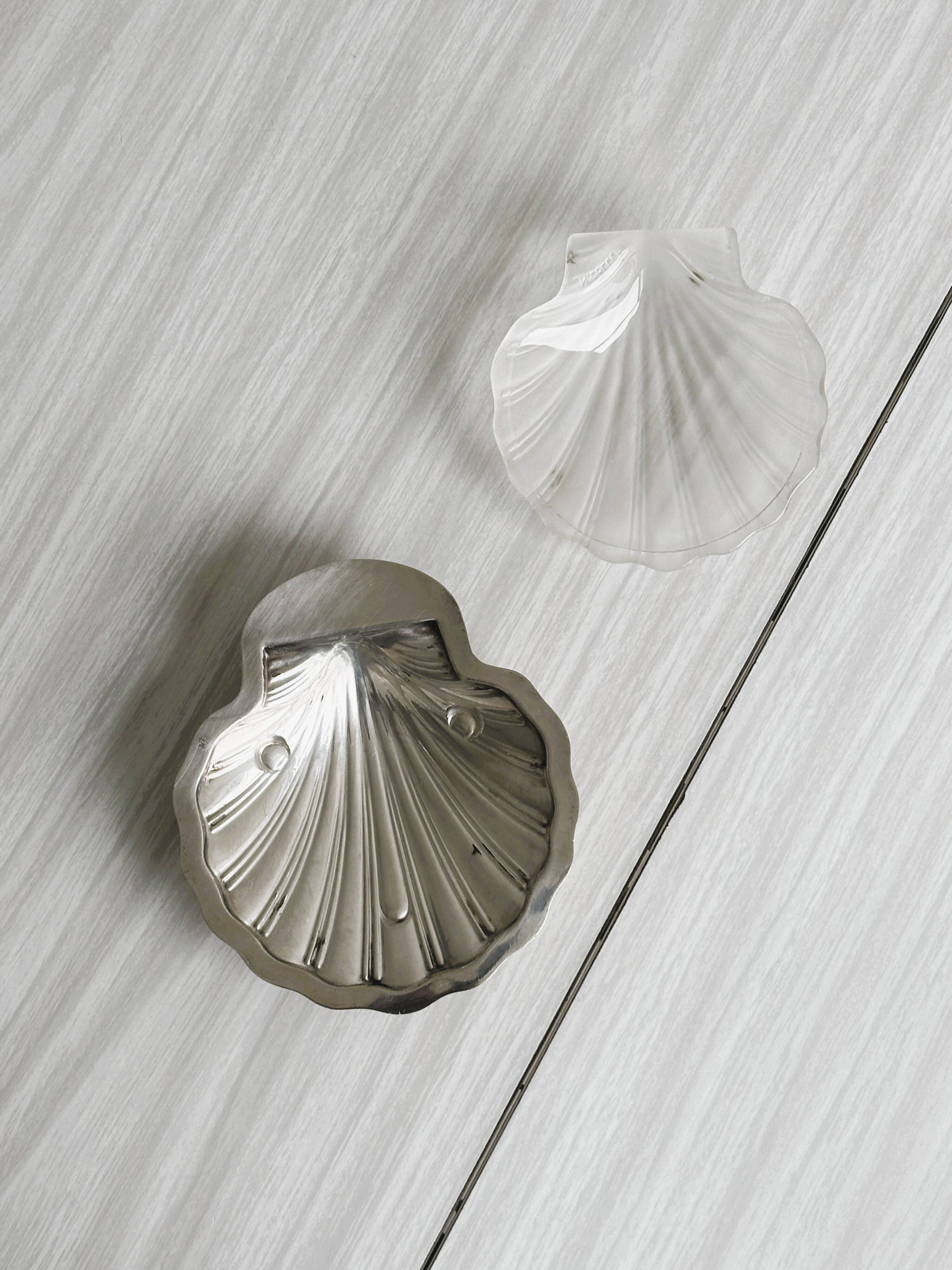 Shell-shaped jewelry holder or butter dish