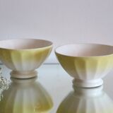 Pair of antique bowls