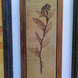 Vallauris herbarium triptych, R.Leduc