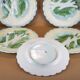 Old asparagus plate X 5, French slushie plate Salins-les-bains