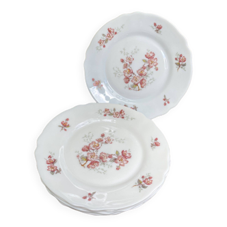 Arcopal red flowers dessert plates