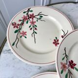5 flat plates Digoin Sarreguemines model Aigues-Vives hand painted years 30-40