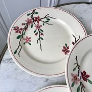 5 flat plates Digoin Sarreguemines model Aigues-Vives hand painted years 30-40