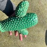 Cactus vase