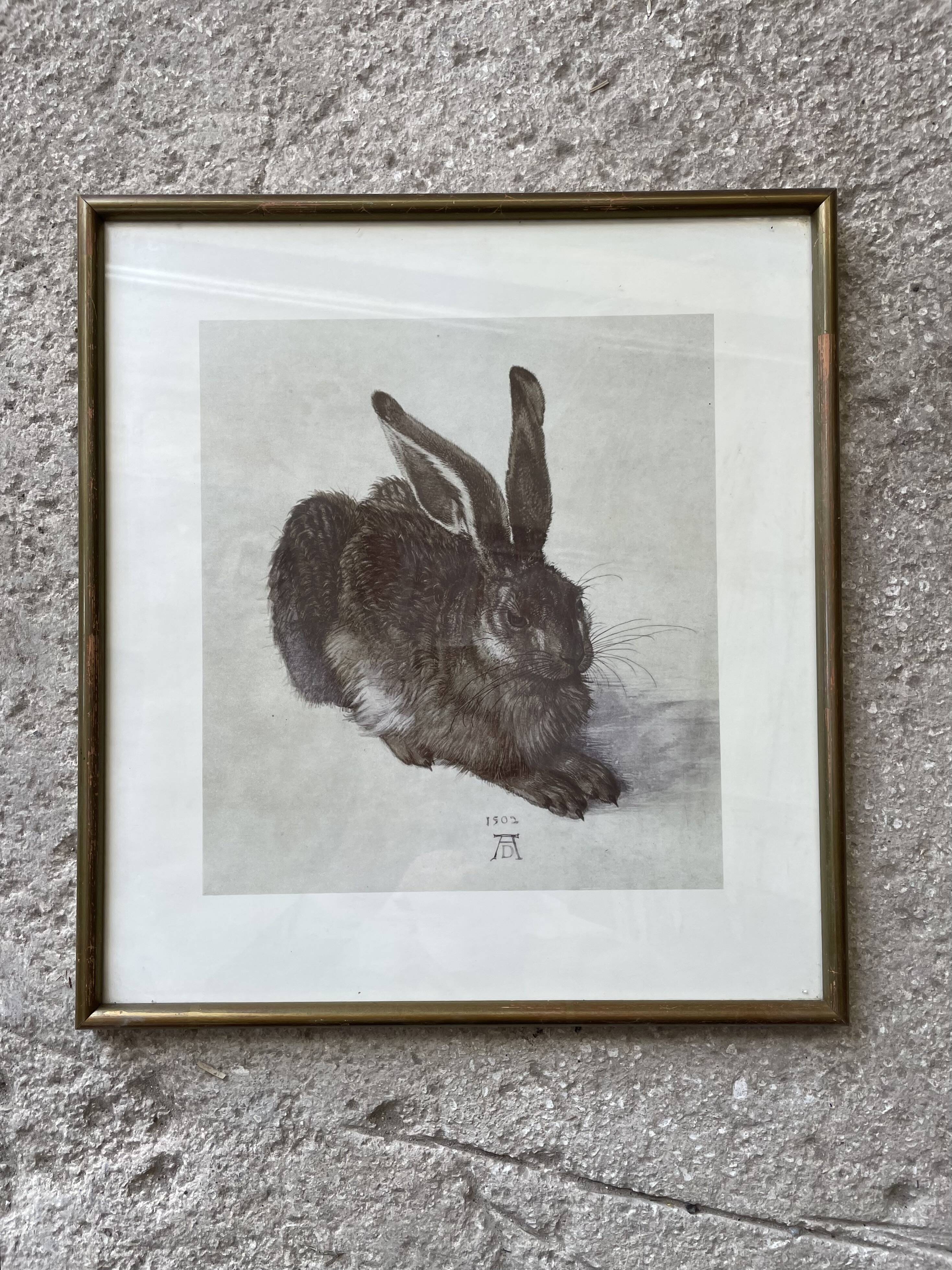 Dürer's hare illustration