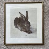 Dürer's hare illustration