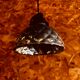 Pair of double-sided mercury glass pendants