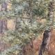 Painting painting old school of Barbizon nineteenth