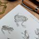 Printed in 1851, Natural History, Amphibians.