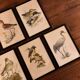 Seven ornithological illustrations by John Murr