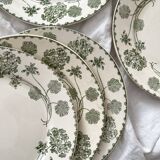 6 antique flat plates made of ironstone "Géranium" Sarreguemines