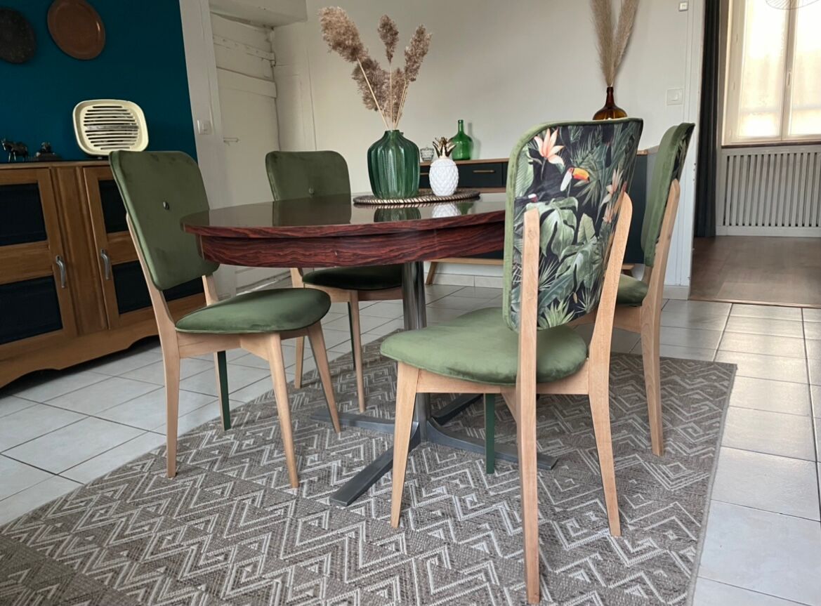 Chairs year 50/60, restored in green velvet and jungle parrot