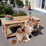 Oak coffee table
