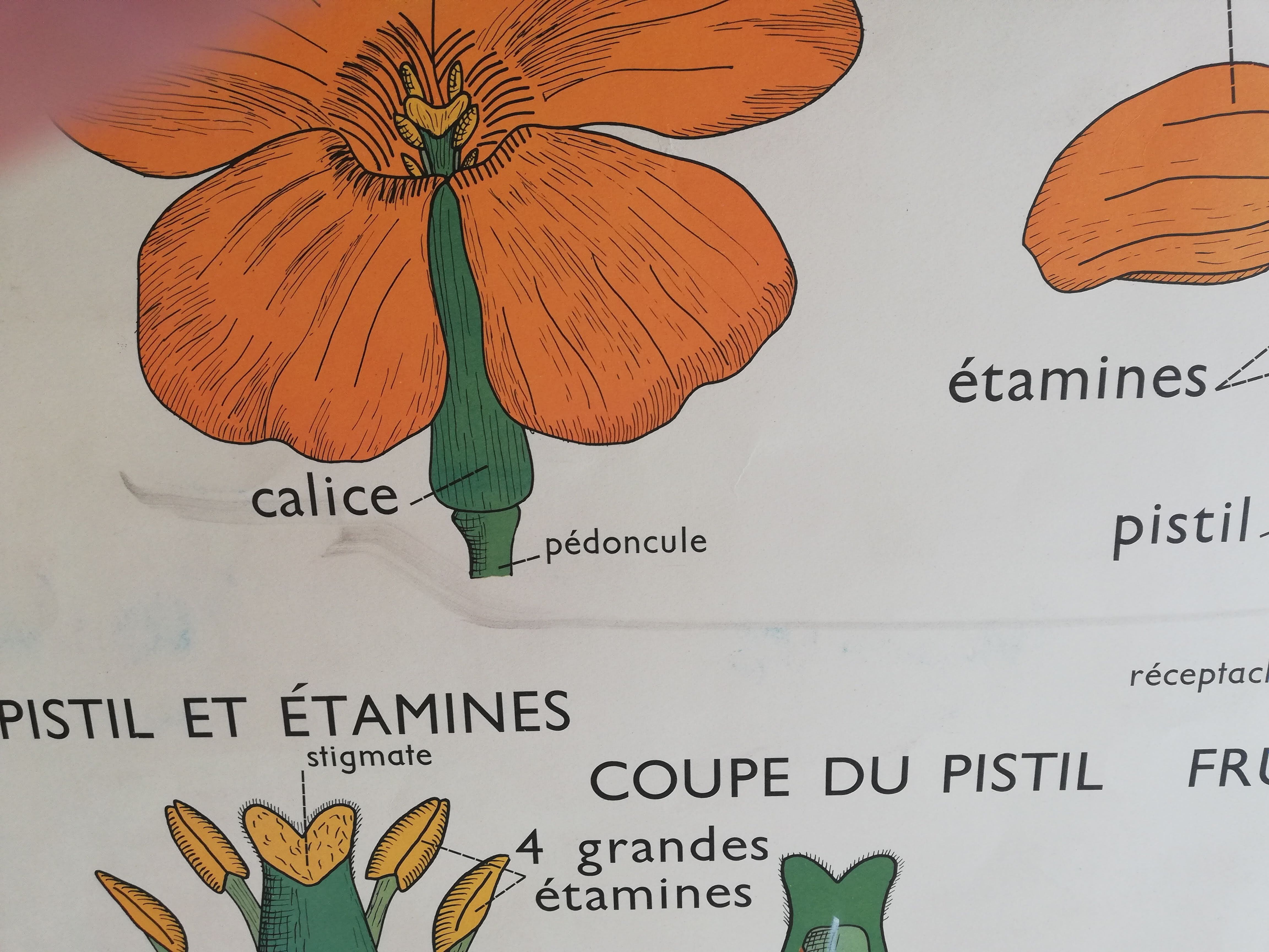 Old Rossignol school poster