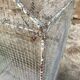 Cage oiseaux