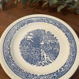 Set of 6 dessert plates