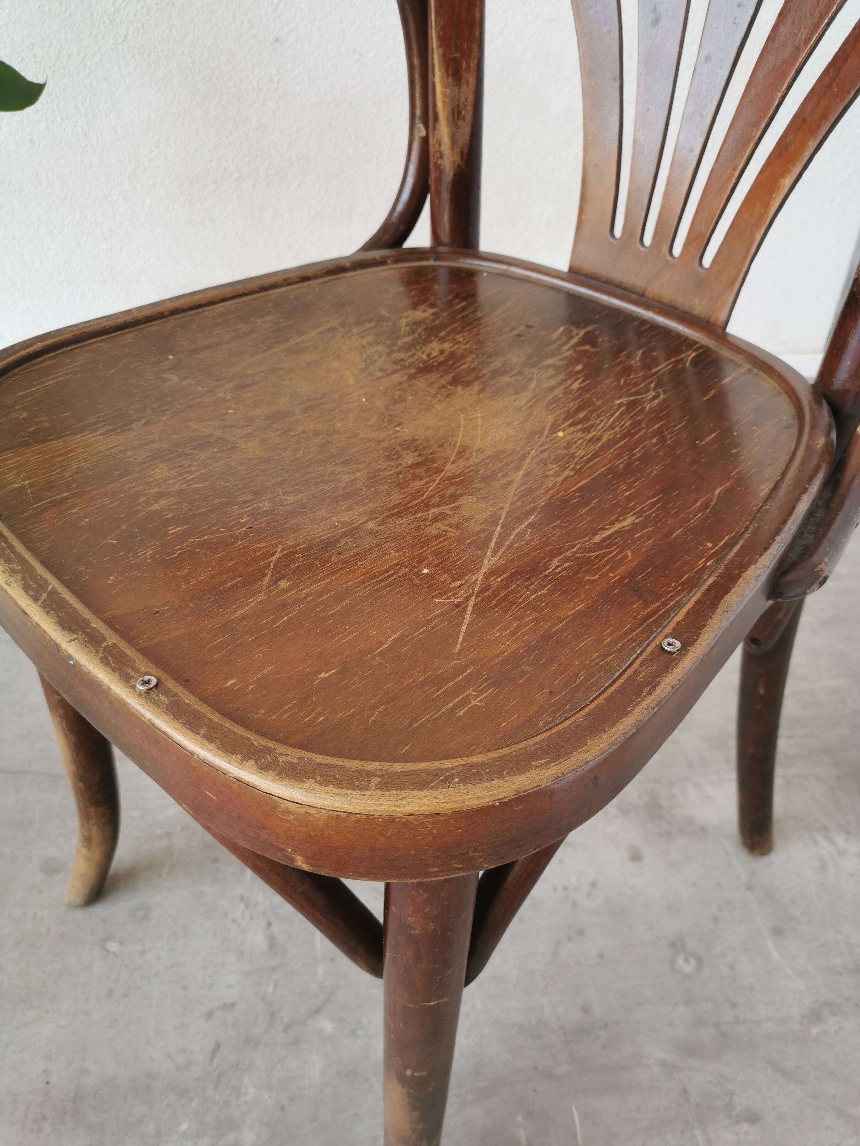 Chaise de salle à manger vintage en bois courbé : fauteuil style Thonet du milieu du siècle