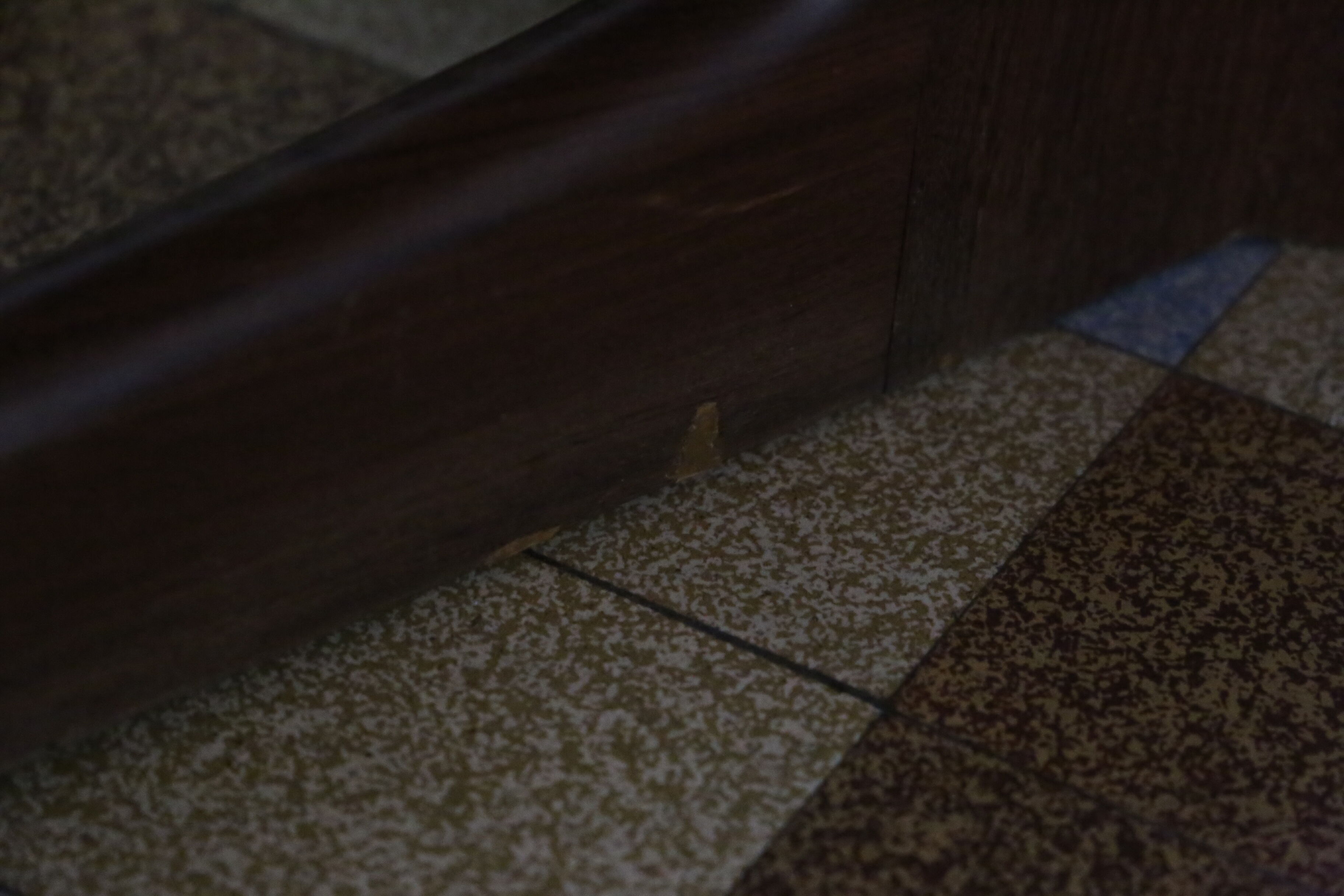 Scandinavian teak table and 6 chairs