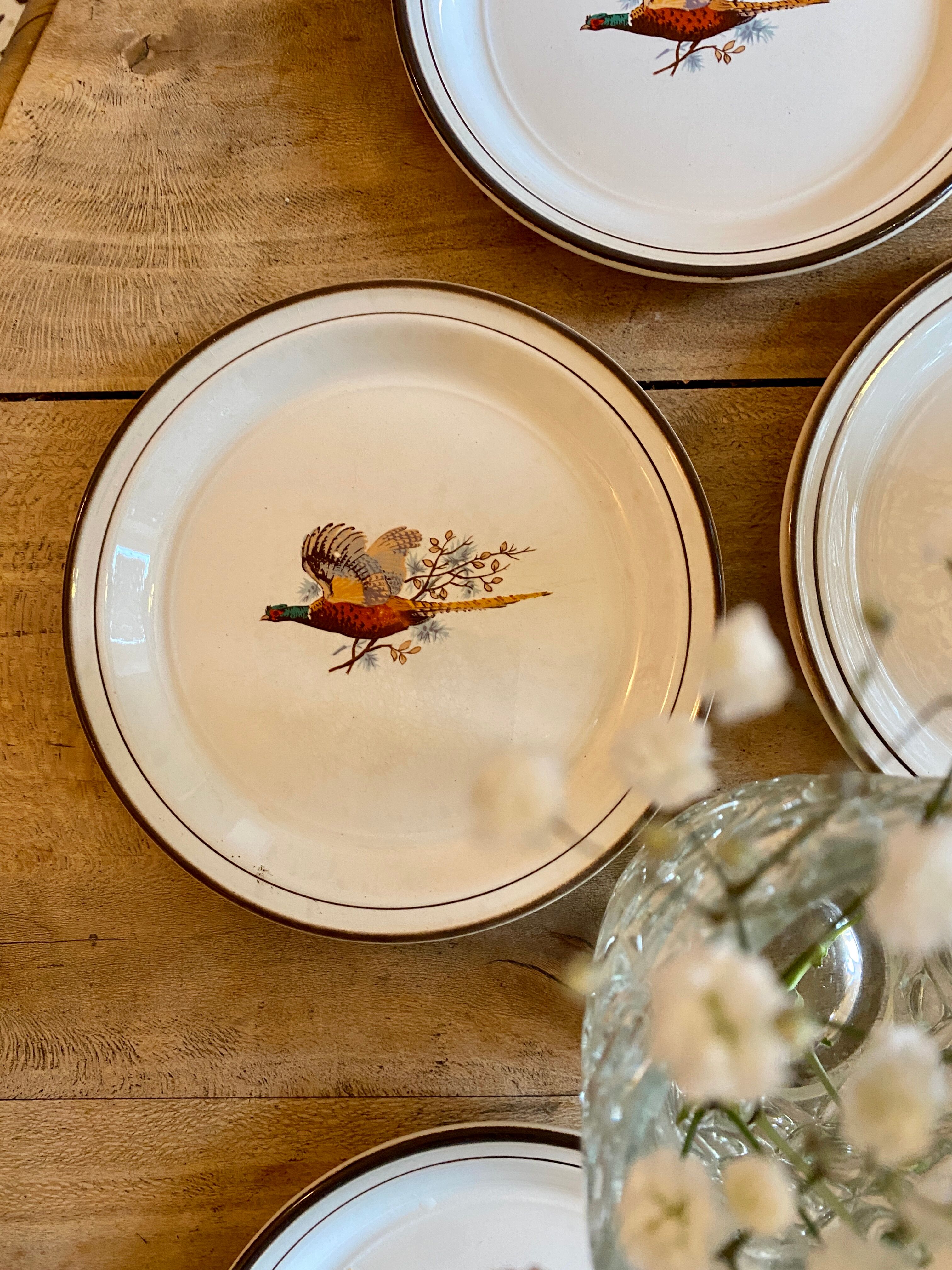 Set of 5 vintage plates