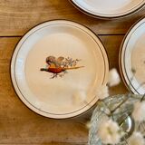Set of 5 vintage plates