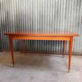 Scandinavian vintage dining table