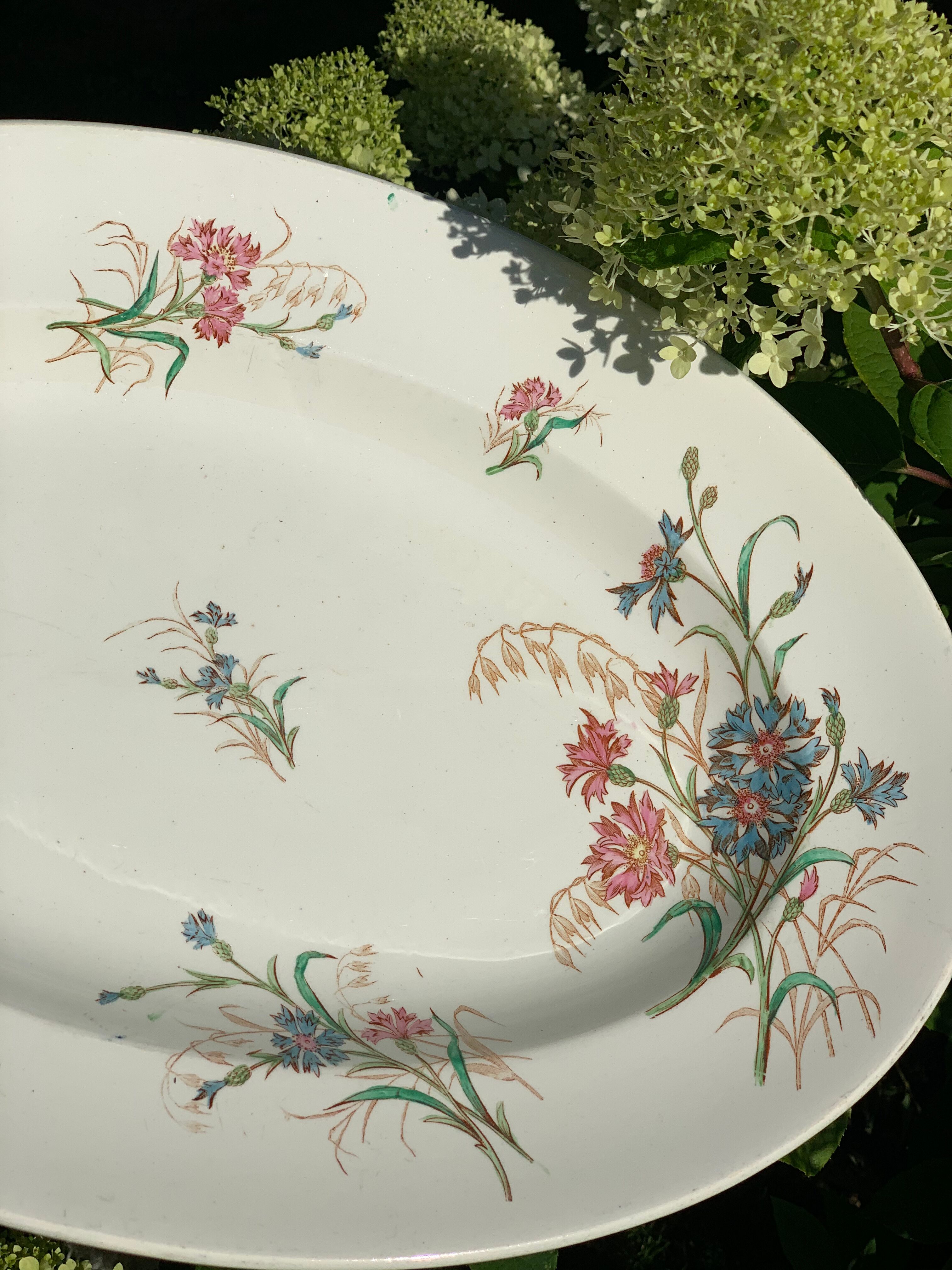 Old dish, earthenware, blueberry service Keller and Guérin Lunéville, Terre de Fer
