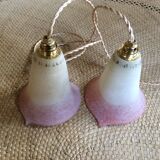 Pair of wine suspensions