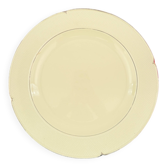 Plat jaune pastel Salins