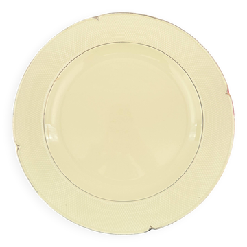 Pastel yellow dish Salins