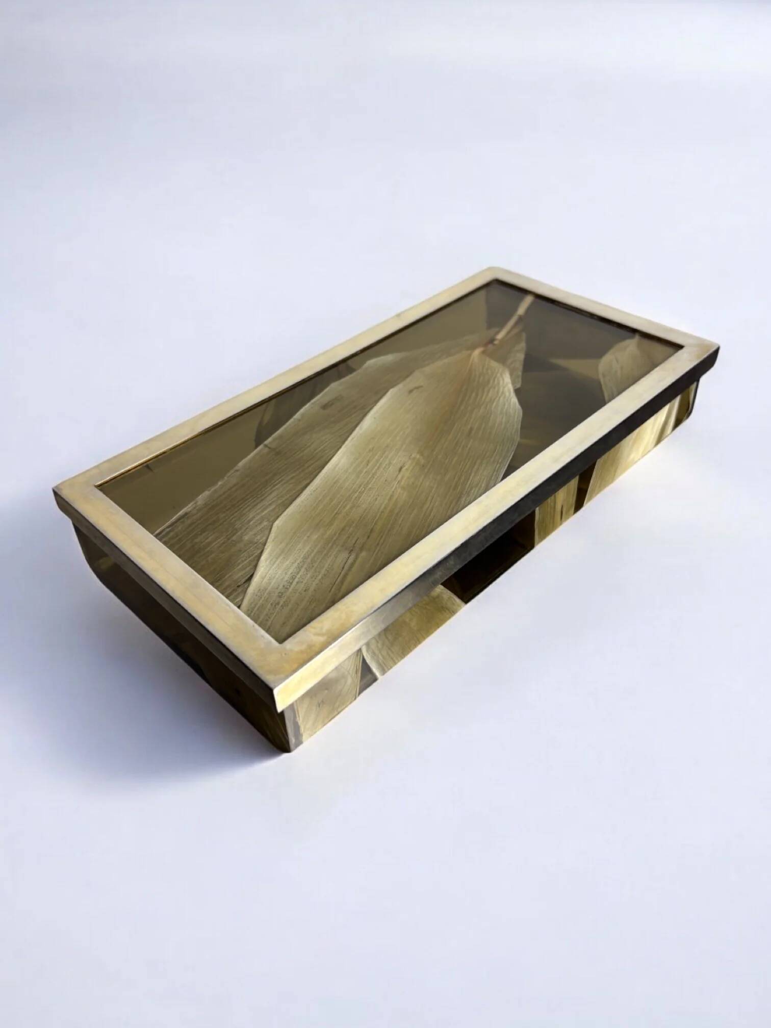 Aldo Tura style vanity box in lucite with dry tobacco leaves, 1970s