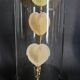 Curiosity cabinet globe with Venus heart shells corculum cardiss