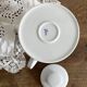 Porcelain teapot with hand-painted bird decoration