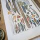Printed in 1924, the feathers. Old naturalist illustration.