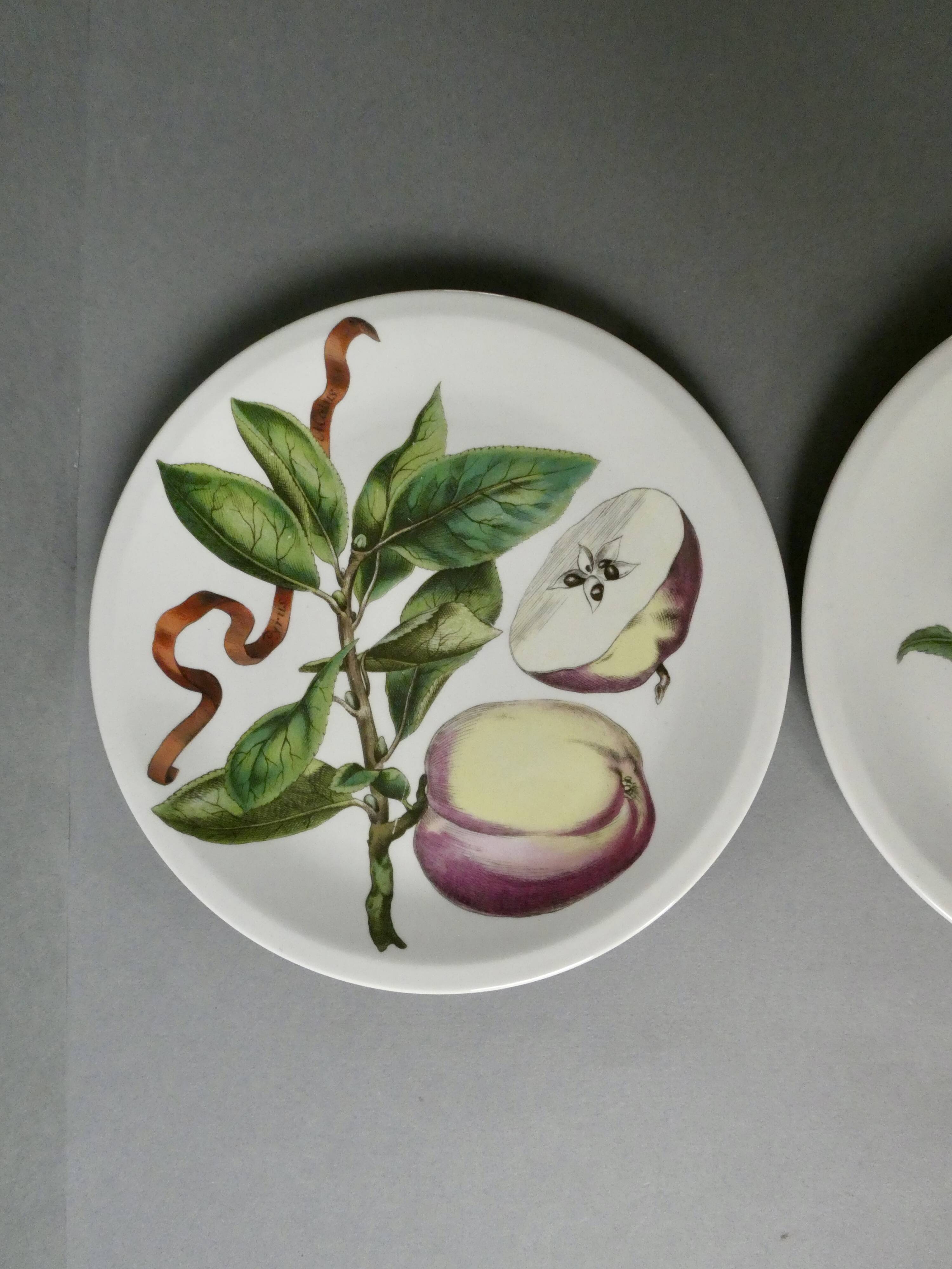 2 plates and 2 small dishes Villeroy & Boch, naturalist decor