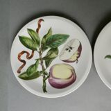 2 plates and 2 small dishes Villeroy & Boch, naturalist decor
