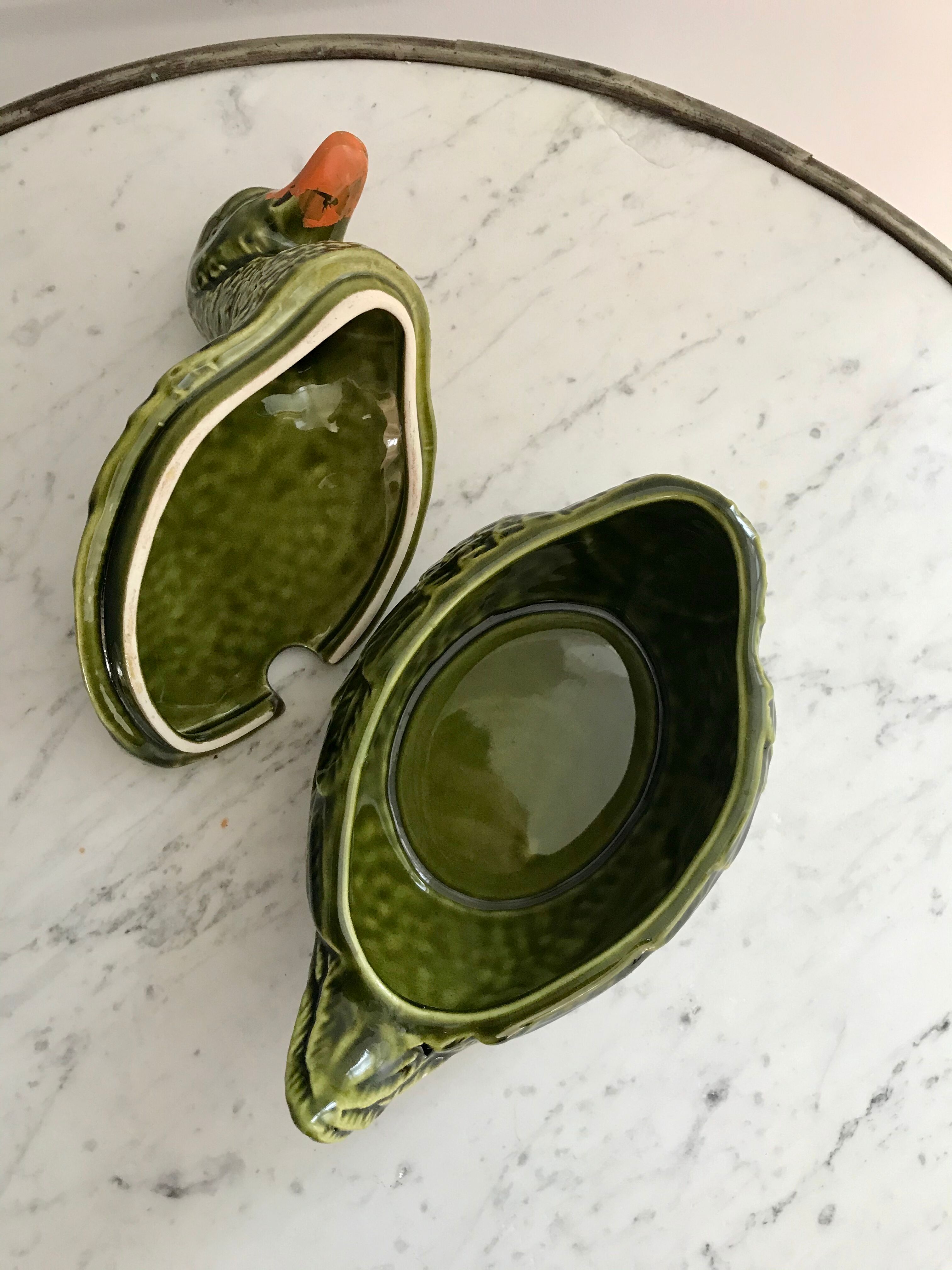 Empty dabbling duck pocket