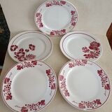 Set of five iron earth plates
